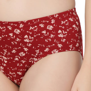 Cotton lycra Hipster Panties-6980