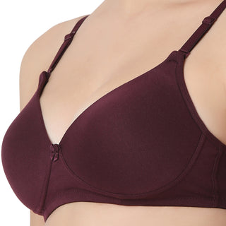 1253  Padded T-Shirt  Bra Wine