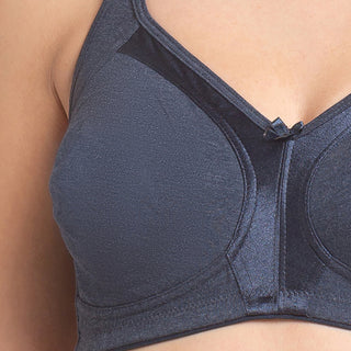 Plain Mold T-Shirt Bra Shrishti