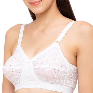 Cotton Plain Bra  Karina