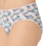 7057 - Cotton Hipster Panties Pack Of 5  Multicolor - Image 3