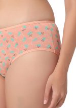 7094 - Soft Whisper Cotton Pack Of 3 Hipster Panties - Image 5