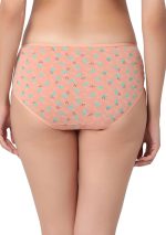 7094 - Soft Whisper Cotton Pack Of 3 Hipster Panties - Image 3