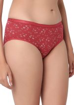 7102 - Cotton Printed Pack Of 3 Hipster Panties - Image 4