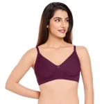 Shikha - Shaping Wonders T-Shirt Bra