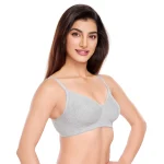 Sakhi grey