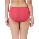 7276 - Cotton Hipster Premium Panties Set Of 5 Stretchable Fabric - Image 7