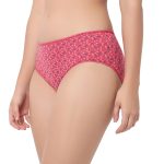 7276 - Cotton Hipster Premium Panties Set Of 5 Stretchable Fabric - Image 4