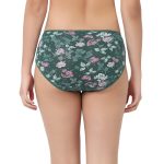 7303 - Cotton Hipster Premium Panties Set Of 5 Stretchable Fabric - Image 7