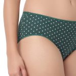 7303 - Cotton Hipster Premium Panties Set Of 5 Stretchable Fabric - Image 5